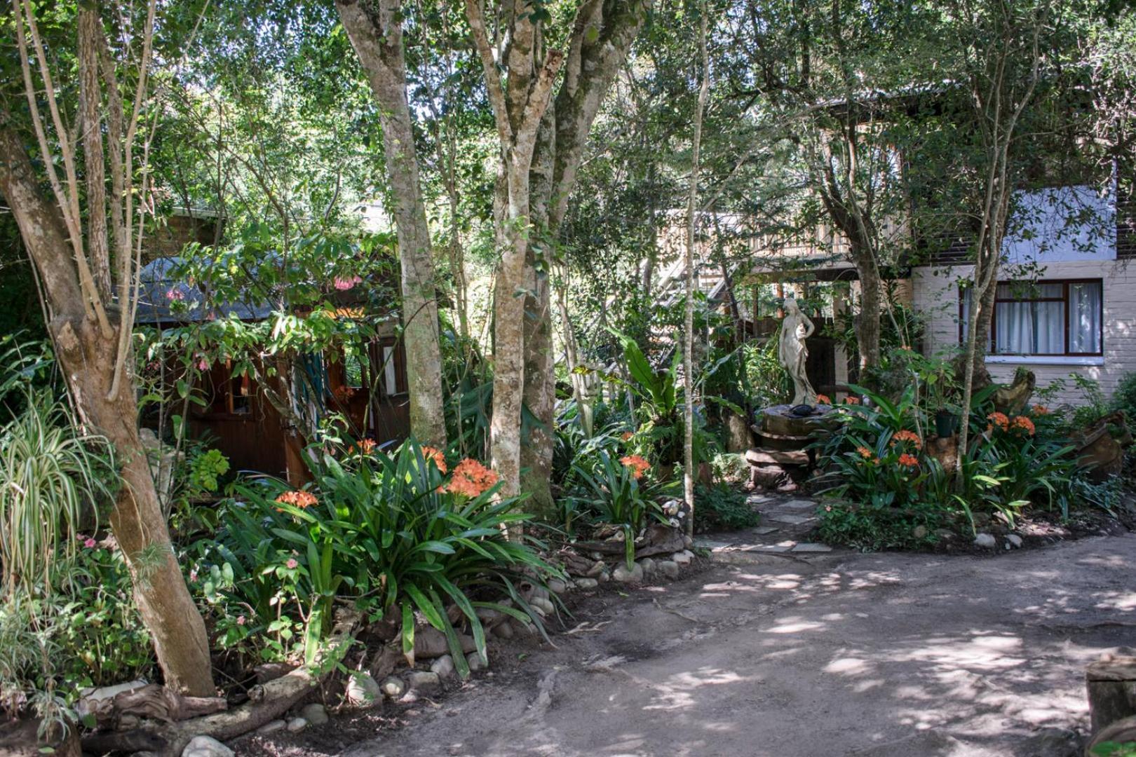 Nature'S Valley Health Retreat A Hide Away In The Forest Εξωτερικό φωτογραφία