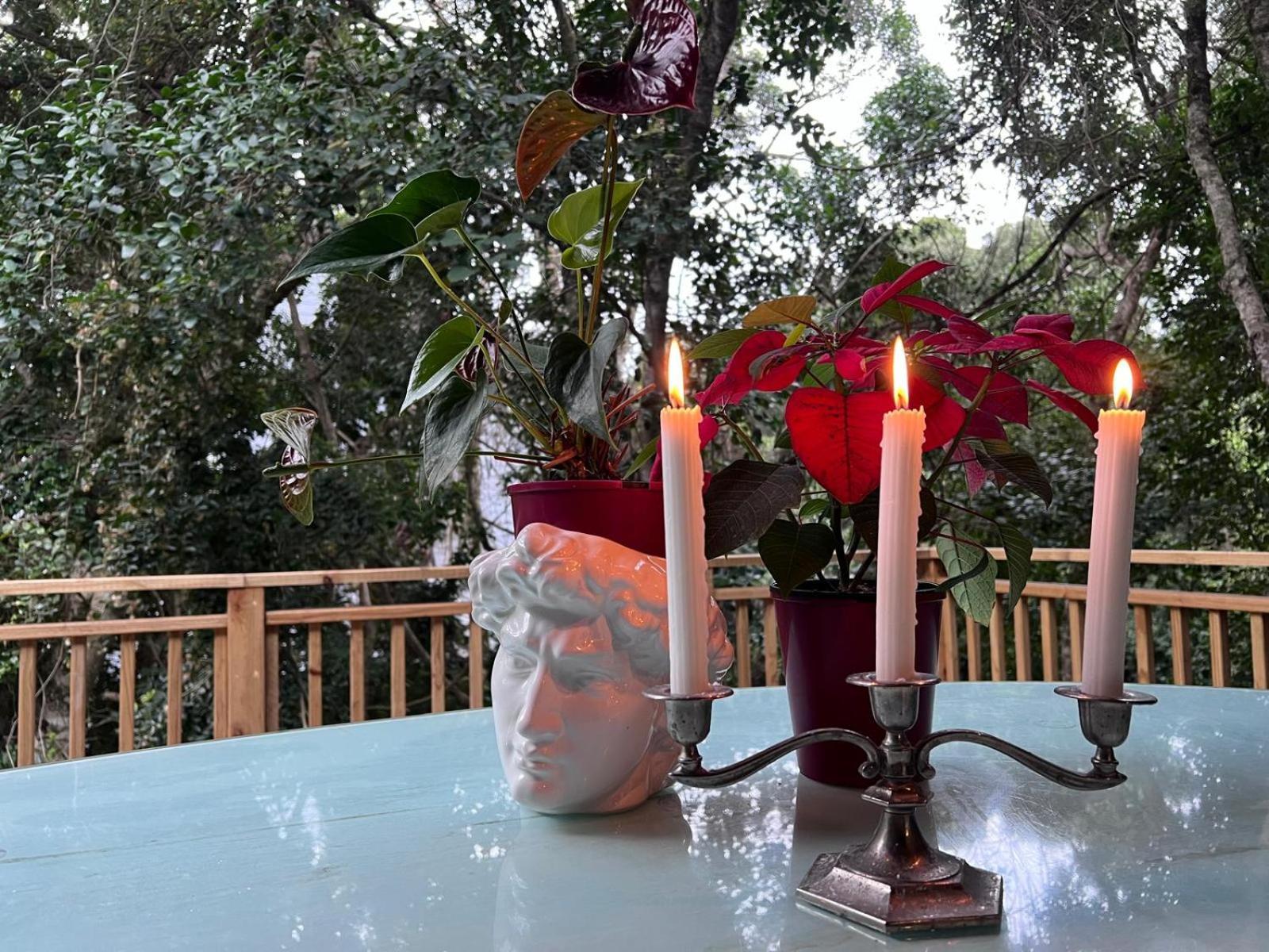 Nature'S Valley Health Retreat A Hide Away In The Forest Εξωτερικό φωτογραφία