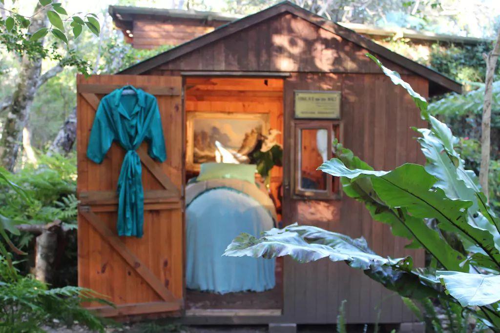 Nature'S Valley Health Retreat A Hide Away In The Forest Εξωτερικό φωτογραφία