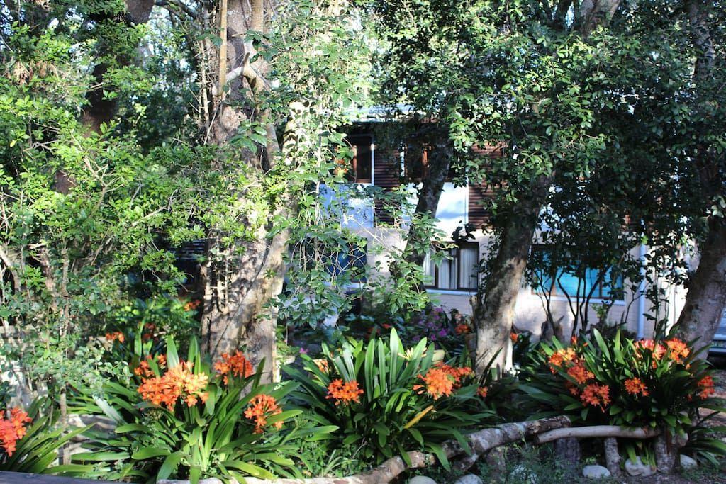 Nature'S Valley Health Retreat A Hide Away In The Forest Εξωτερικό φωτογραφία
